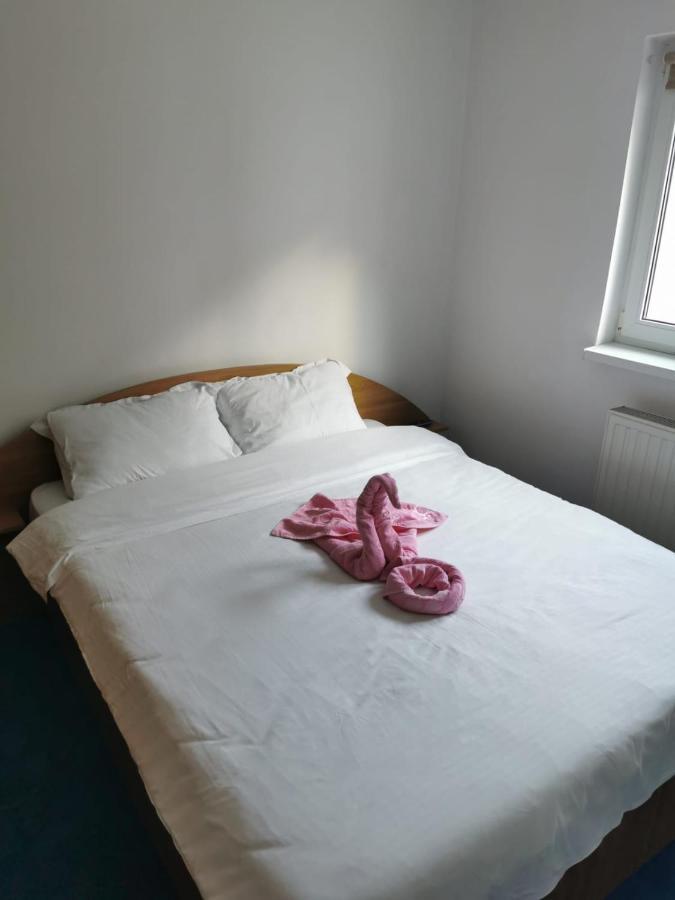 Appartement Apartament Langa Castan à Azuga Extérieur photo
