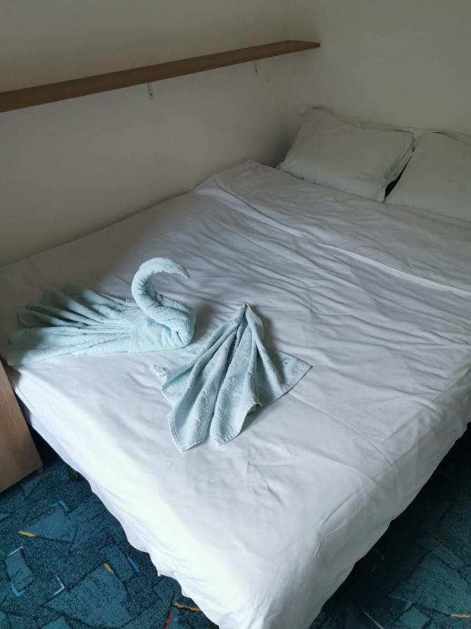 Appartement Apartament Langa Castan à Azuga Extérieur photo