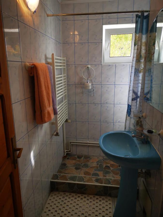 Appartement Apartament Langa Castan à Azuga Extérieur photo