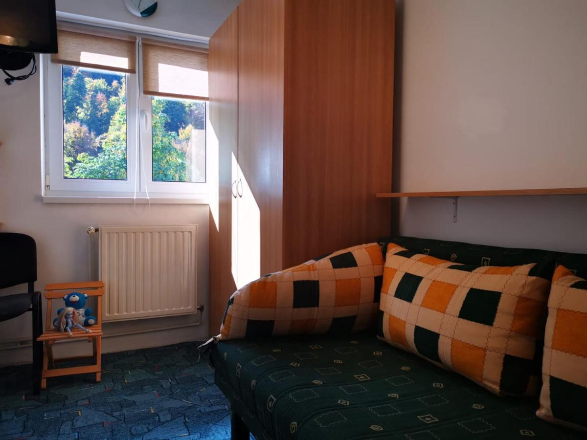 Appartement Apartament Langa Castan à Azuga Extérieur photo