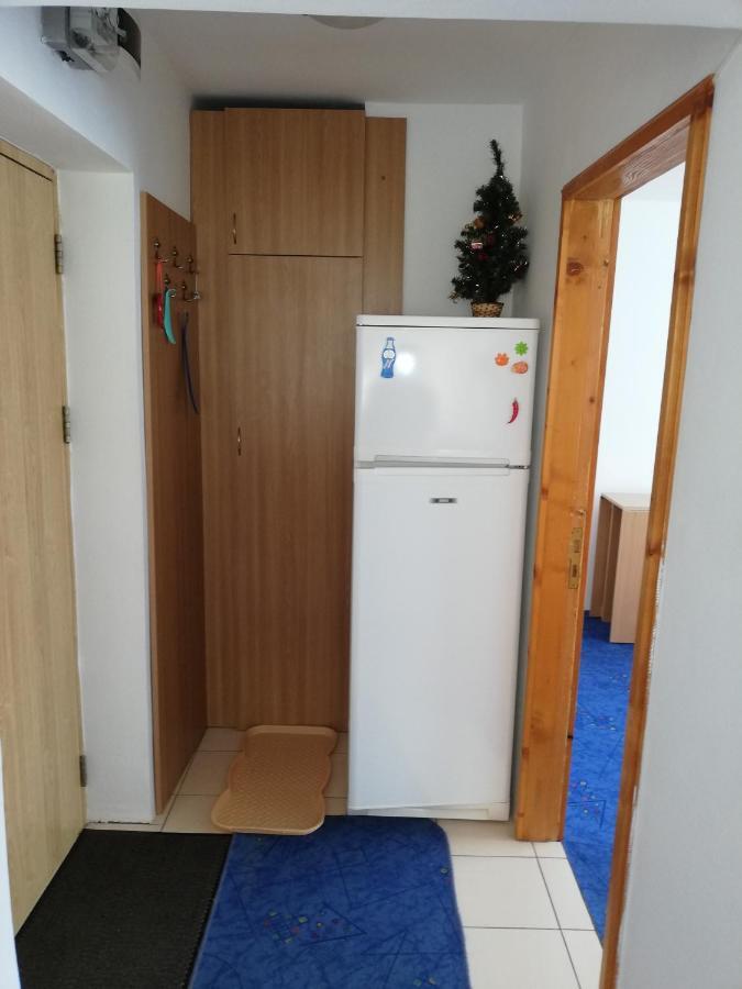 Appartement Apartament Langa Castan à Azuga Extérieur photo