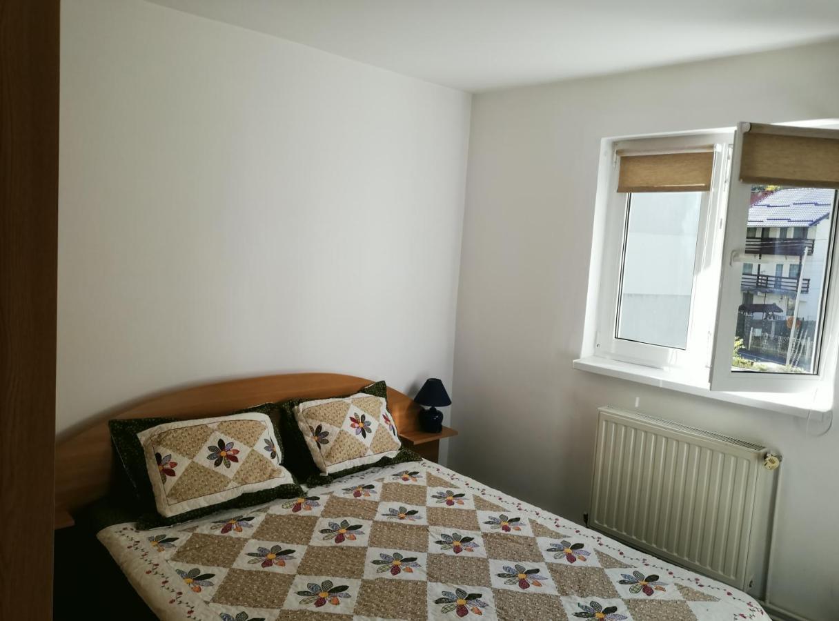 Appartement Apartament Langa Castan à Azuga Extérieur photo